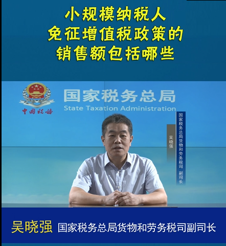 小规模纳税人免征增值税政策的销售额包括哪些？